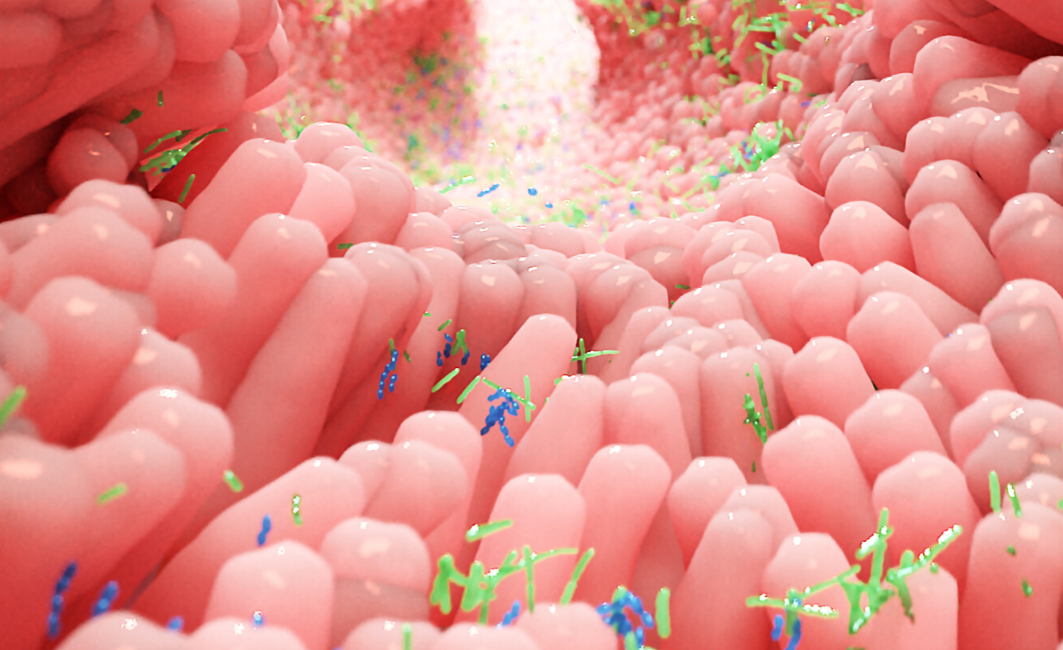 judith-rolf-darm-microbiotica